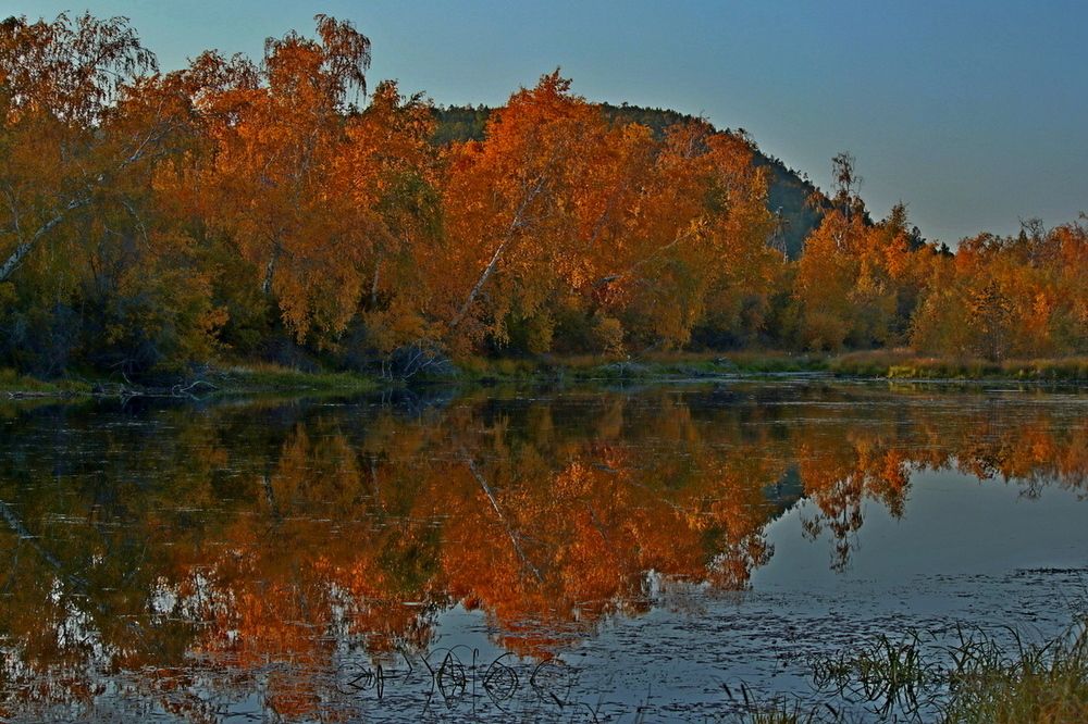 Photograph by Александр Велигура