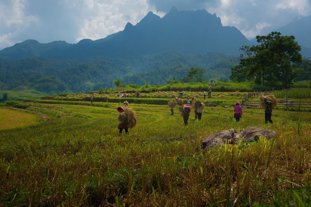 Photograph by Duc Nguyen