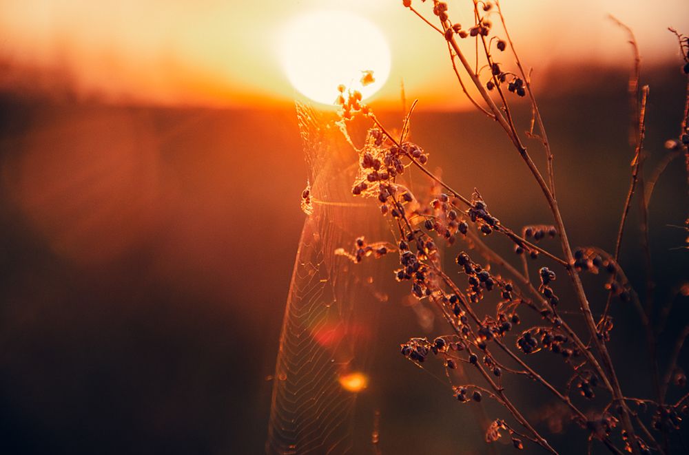 Photograph by Вика Фолина