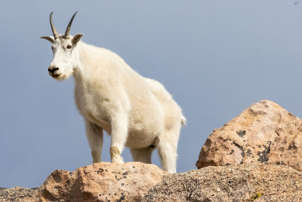 Photograph by Elaina Holland