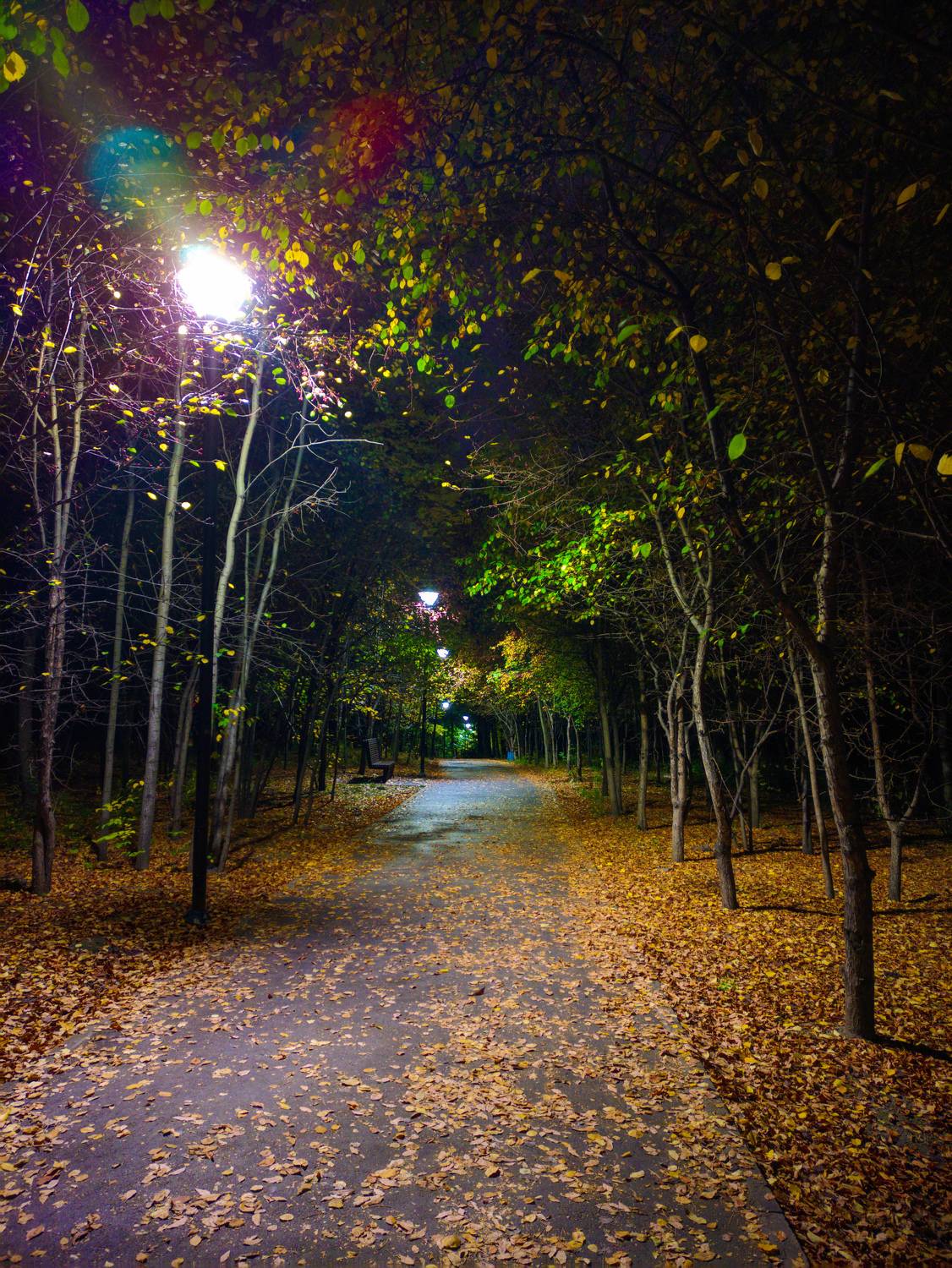 Photo #9565065