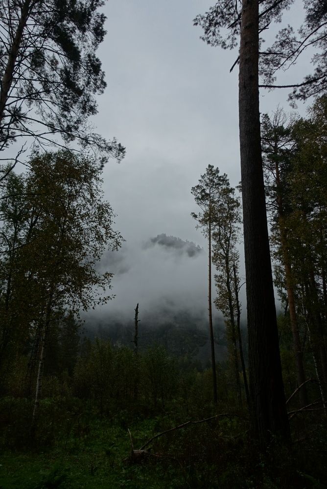 Photo #9565086