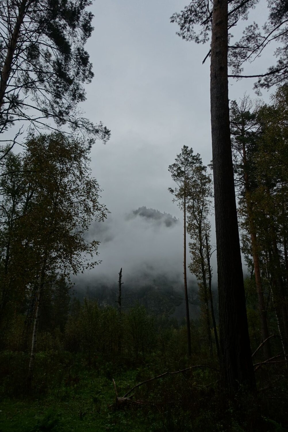 Photo #9565086