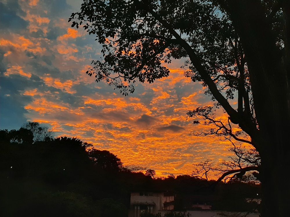 Photograph by Lahiru Prasanna