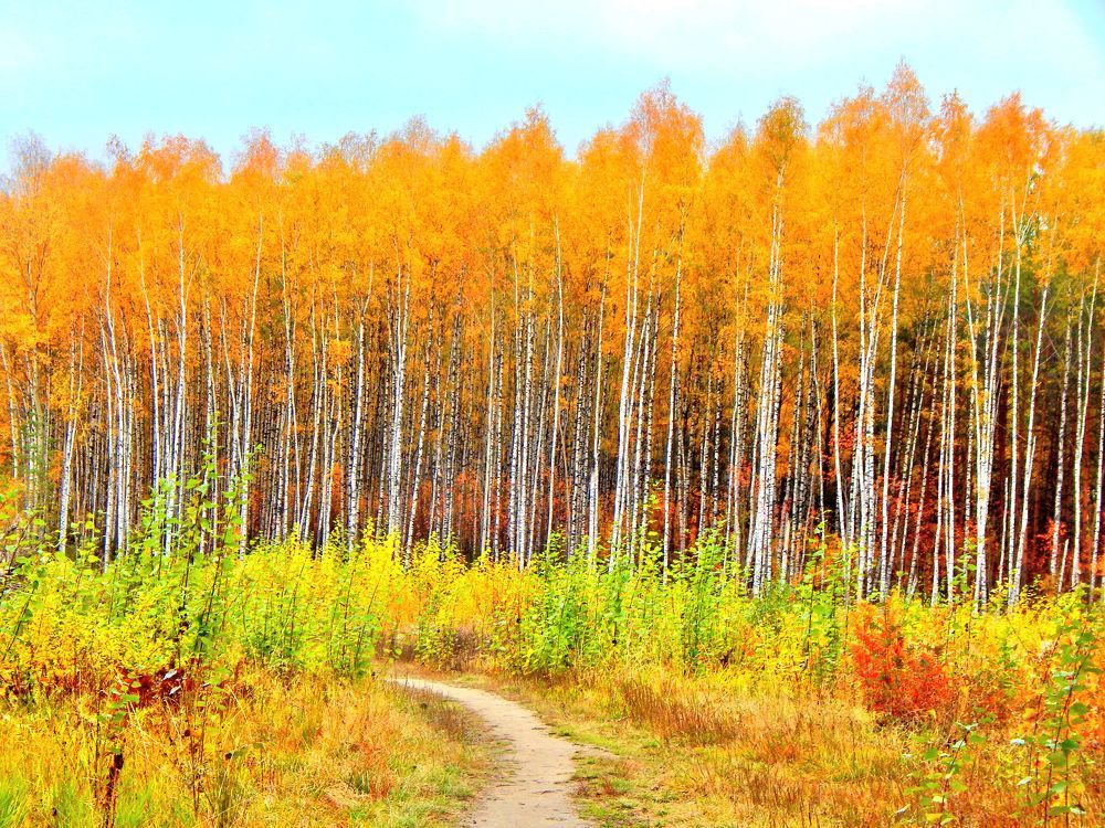Photograph by Александр Шувалов