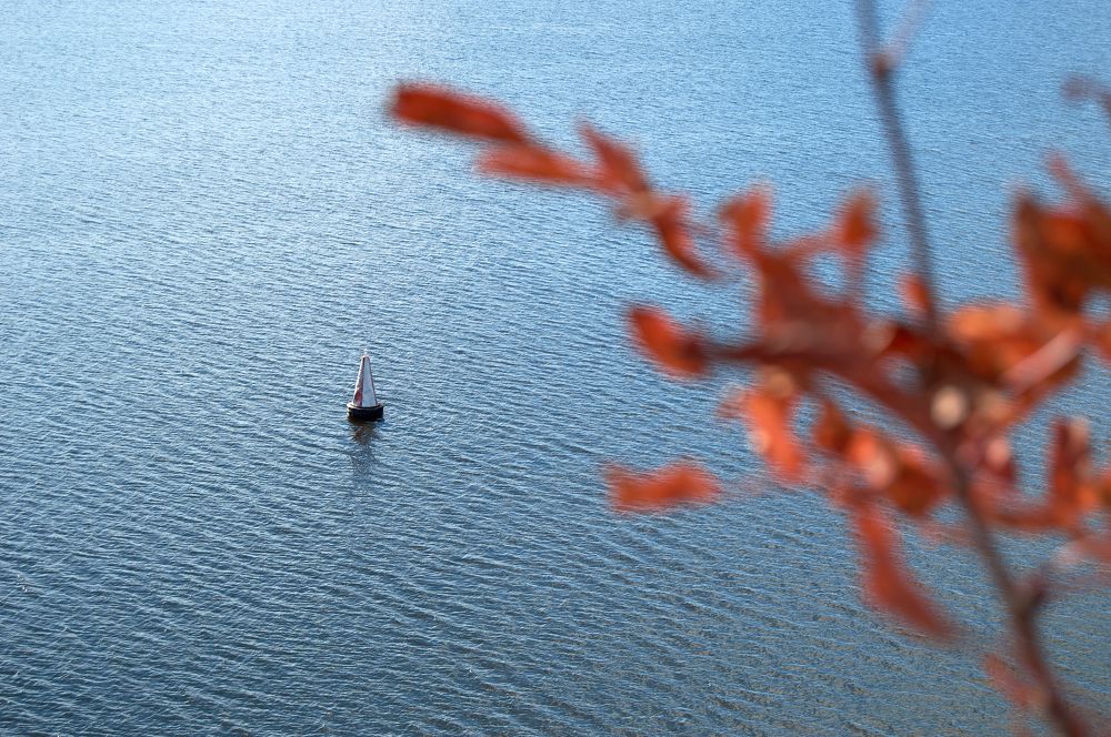 Photograph by Маргарита Гасец