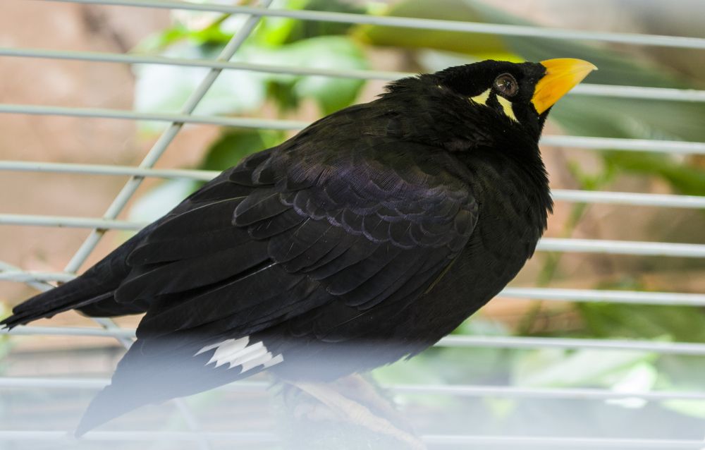 Photograph by Елизавета Большакова