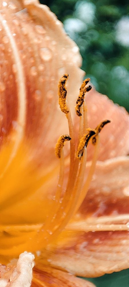 Photograph by DARIA DEMINA