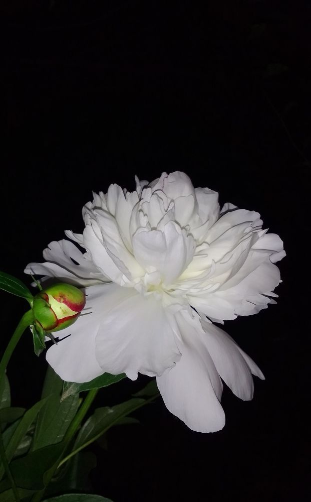 Photograph by Ирина