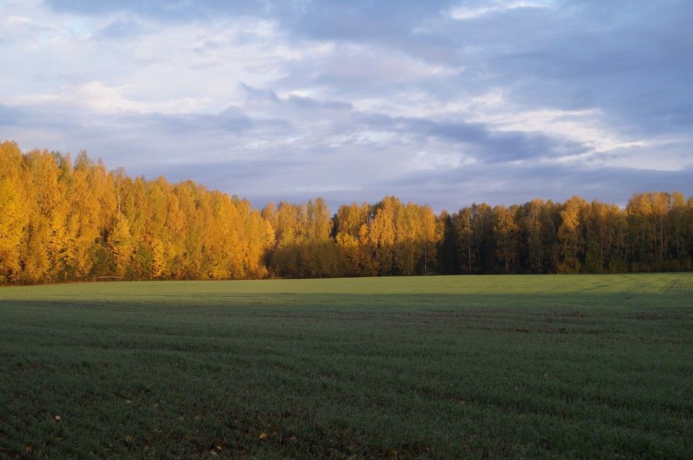 Photograph by Алексей Логинов