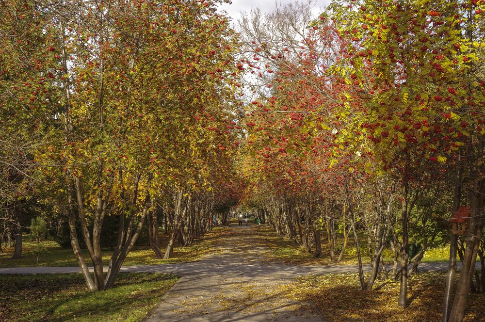 Photograph by Михаил Измайлов