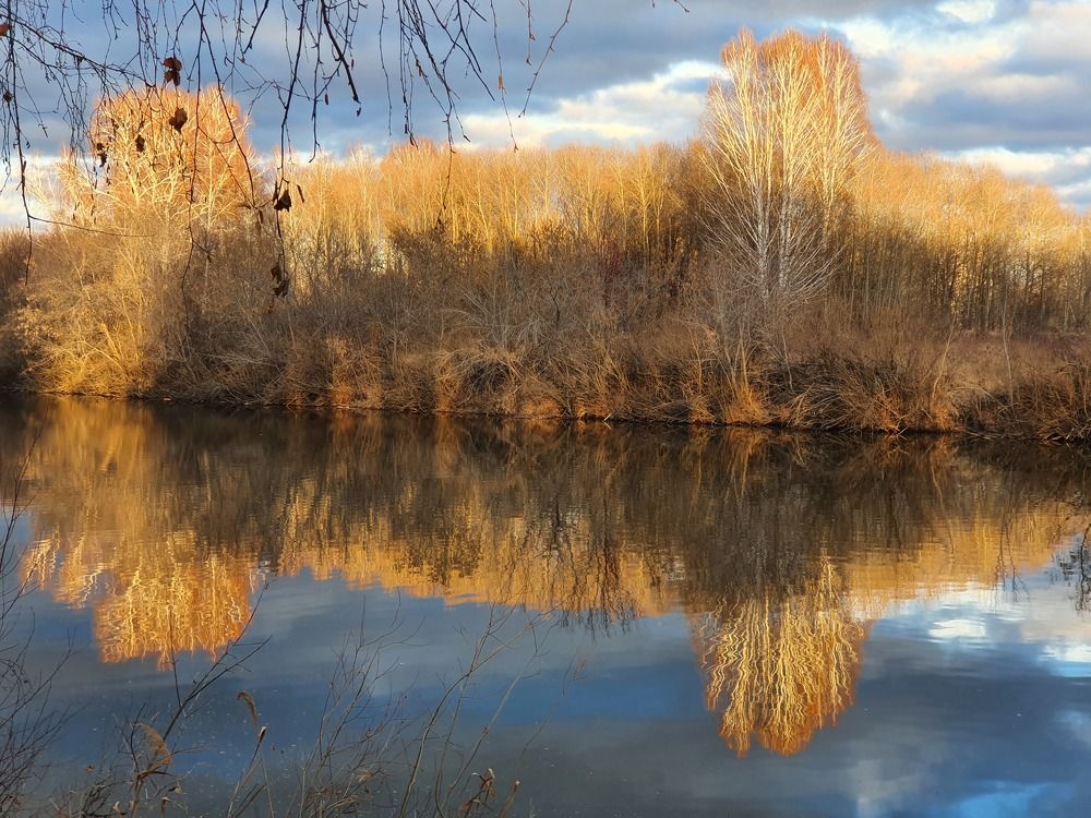 Photograph by Марина Константинова