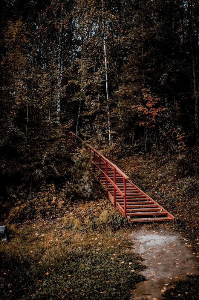 Дорога в сказку