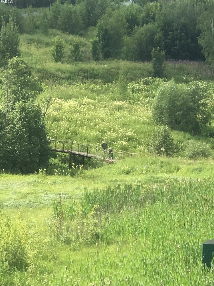 Photograph by Татьяна Шибанова