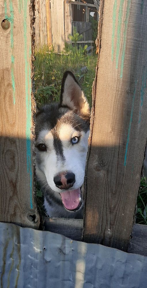 Photograph by Мария