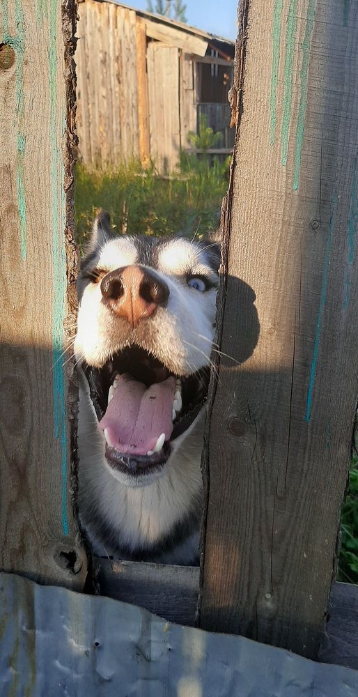 Photograph by Мария