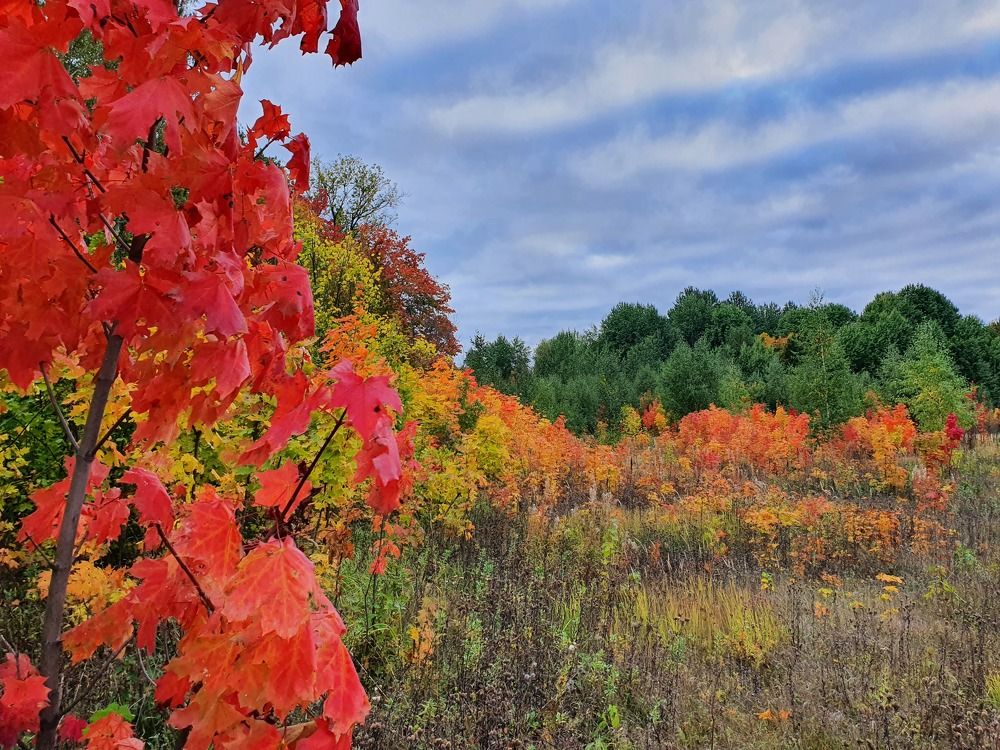 Photograph by Дмитрий
