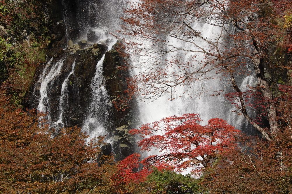 Photograph by Se Lena