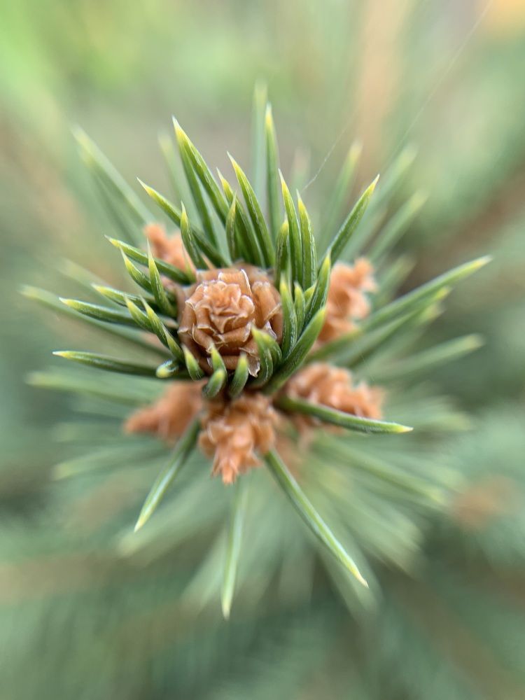 Photograph by Валерия Спирина