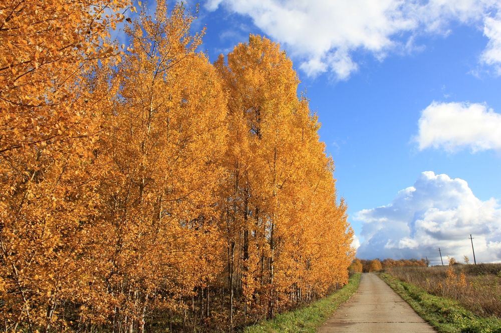 Photograph by Olga Bagaeva