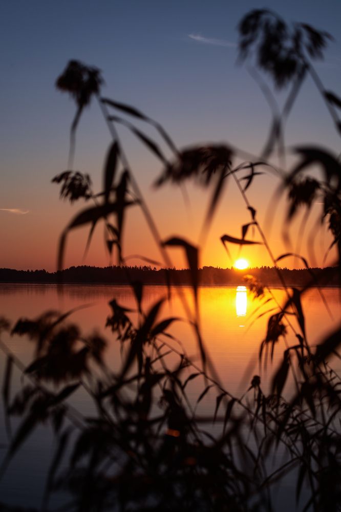 Photograph by Елена Маршавина