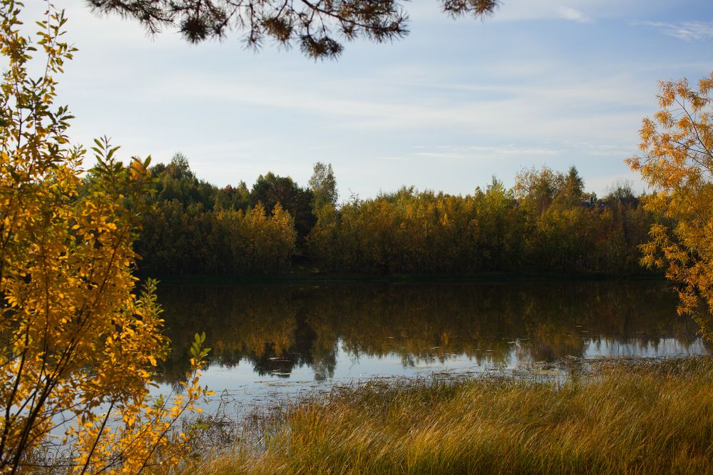 Photograph by Александра Пристинская