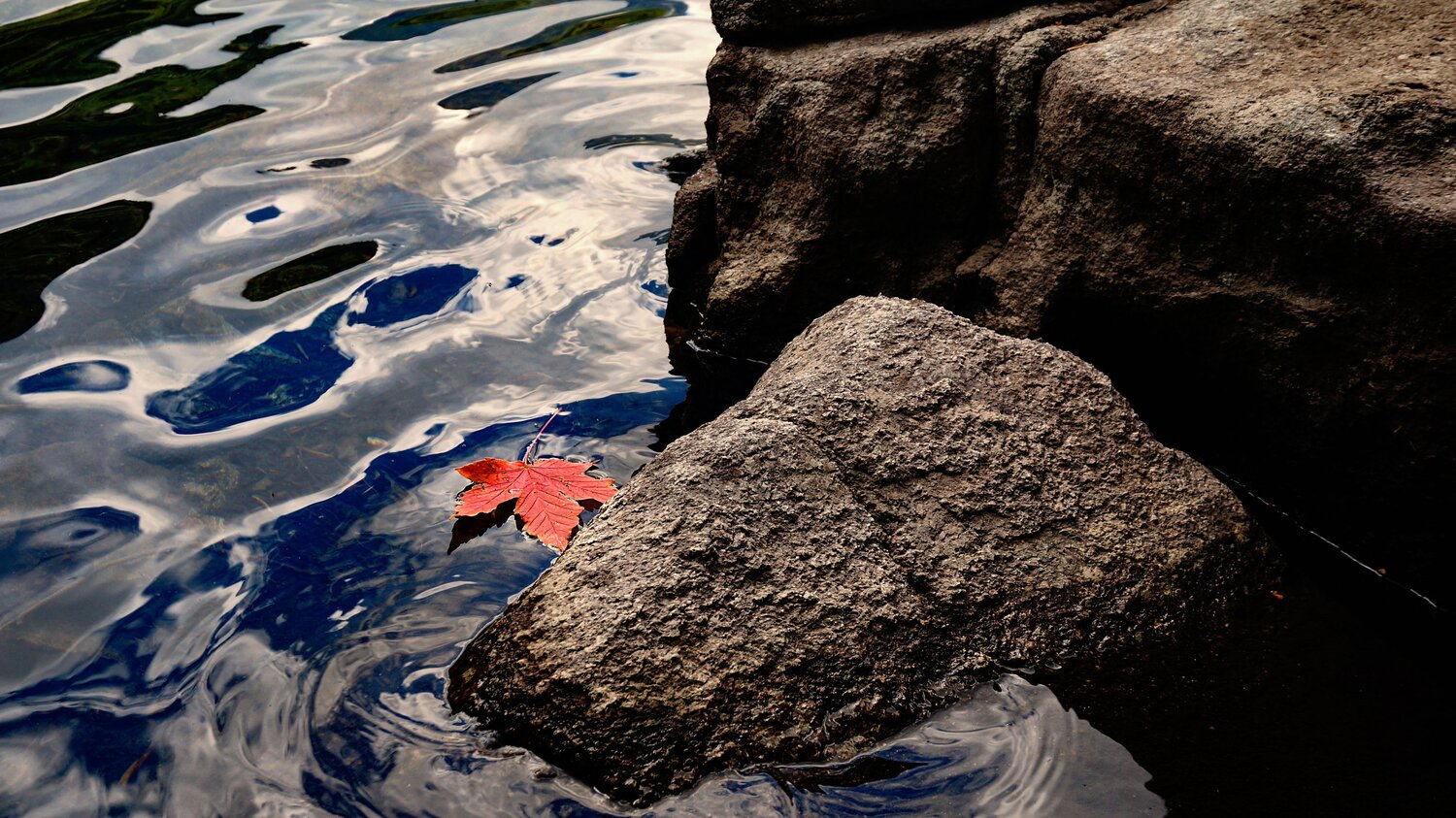 Photo #9565453