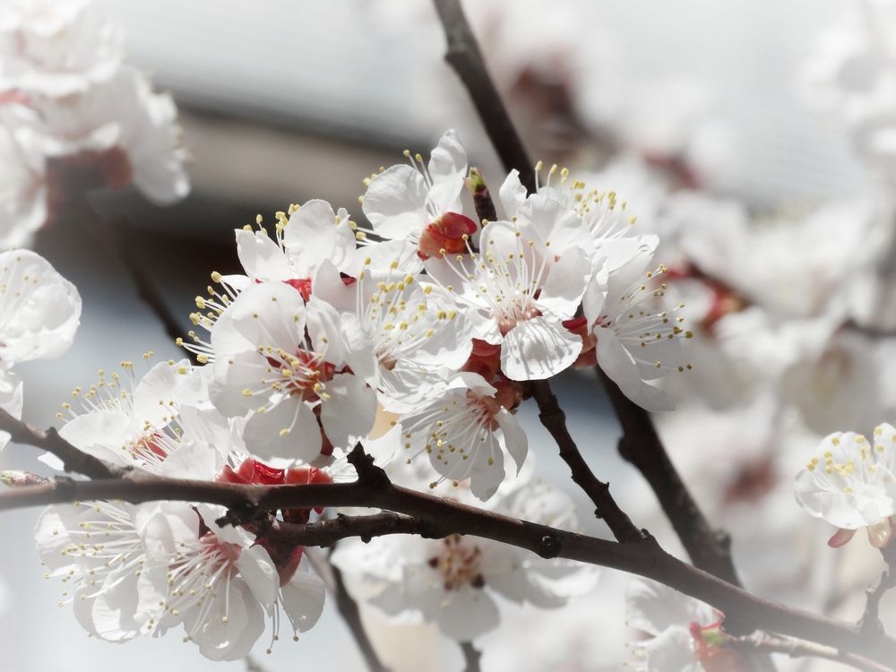 Photograph by Ирина Половцева