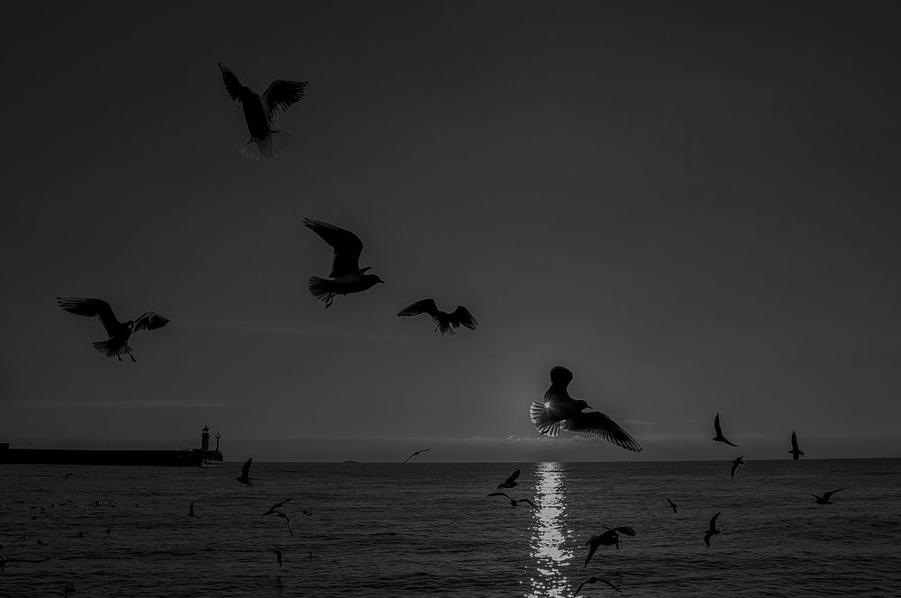 Photograph by Дмитрий Рассыльщиков