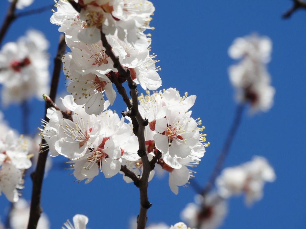 Photograph by Ирина Половцева