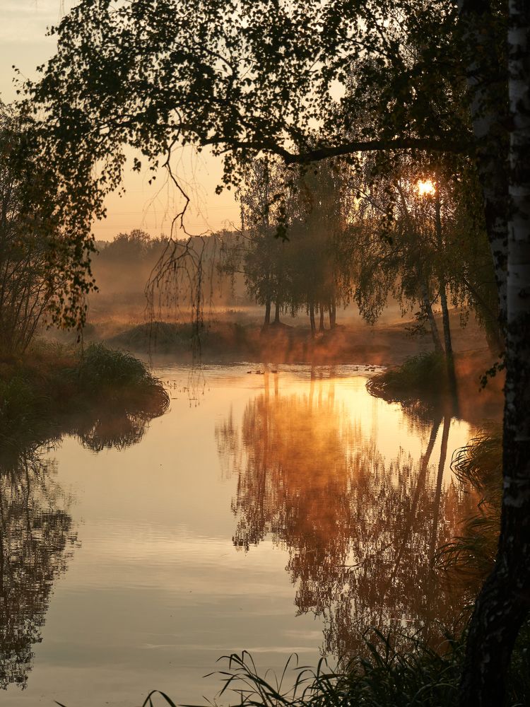 Photograph by Boris Nesh