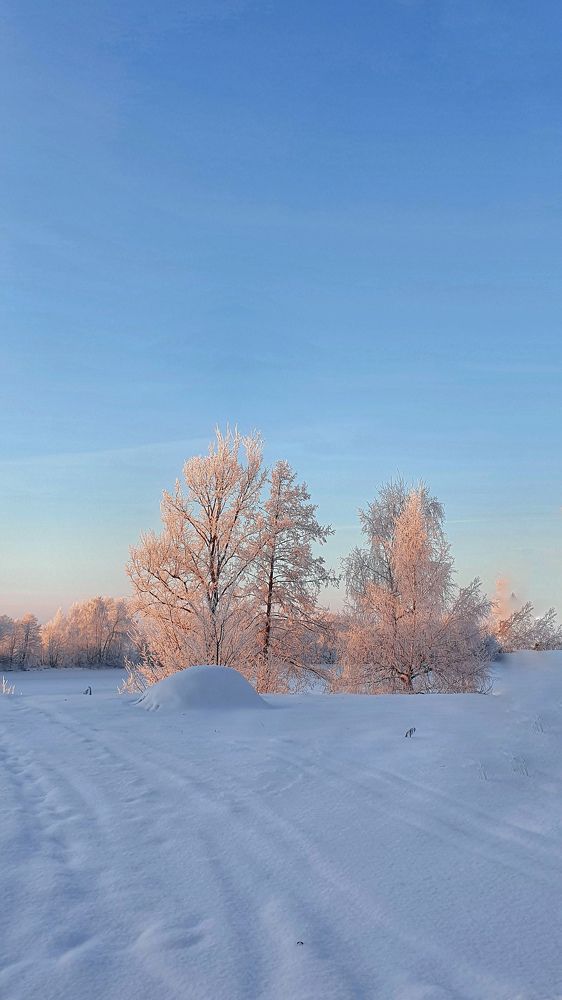 Photograph by Людмила Лукьяненко