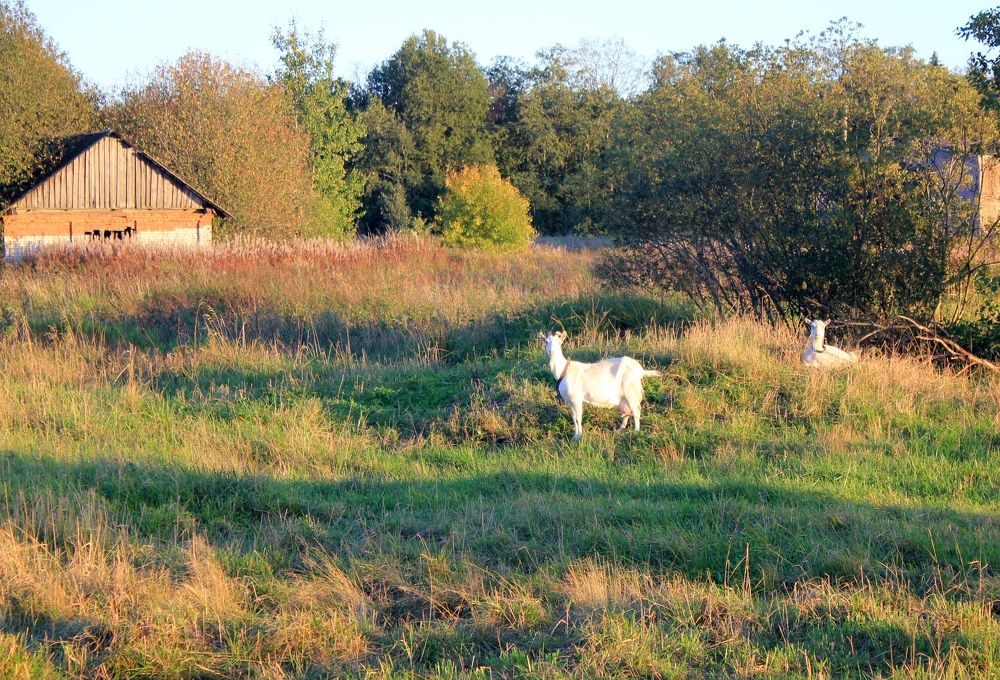 Photograph by Olga Bagaeva