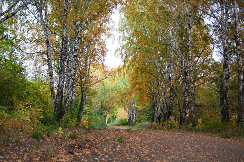 Photograph by Александра Пристинская