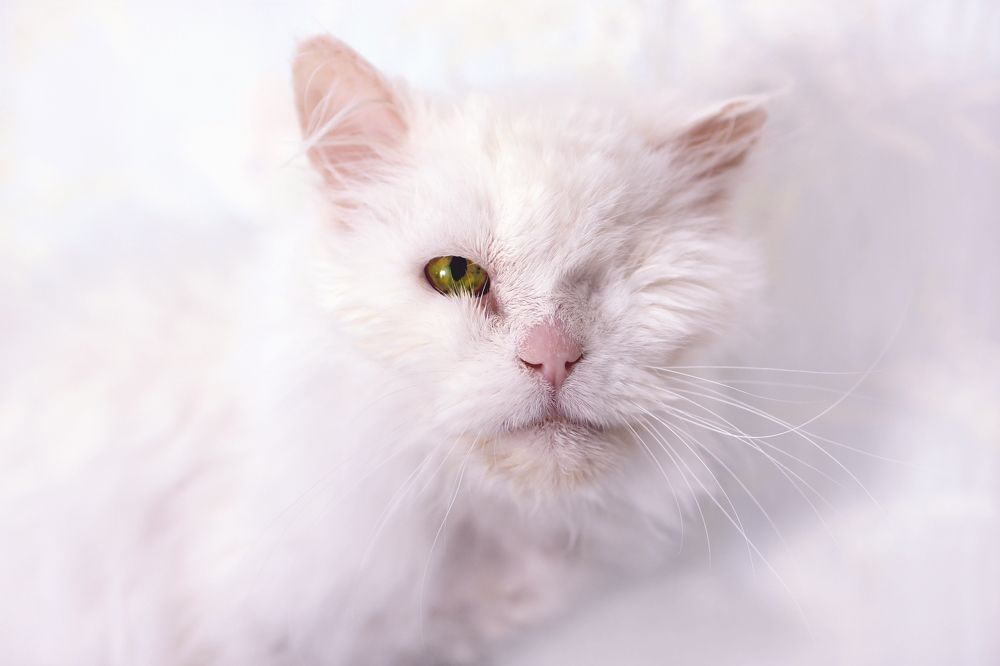 Photograph by Ольга Кочнева