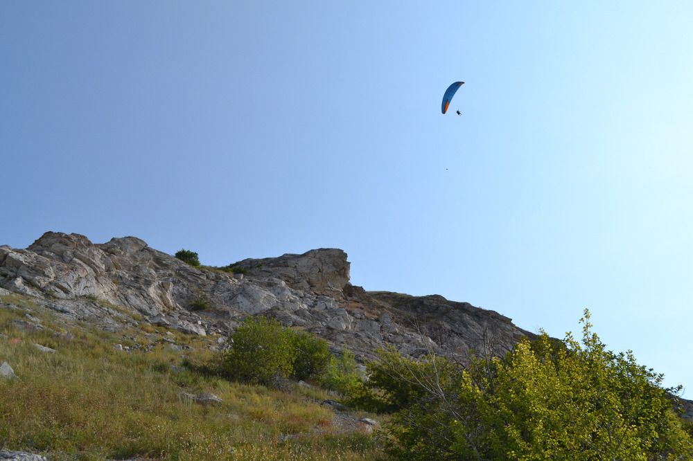 Фотография автора Анастасия Остапчук