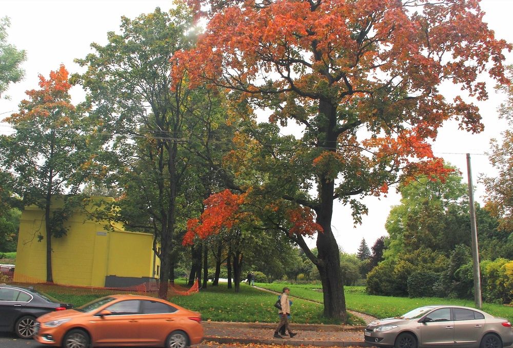 Photograph by Виктория Зотова