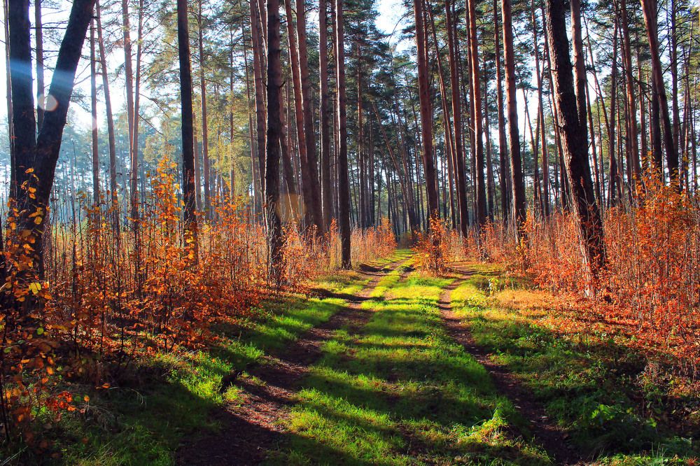 Photograph by Иван Озорнин