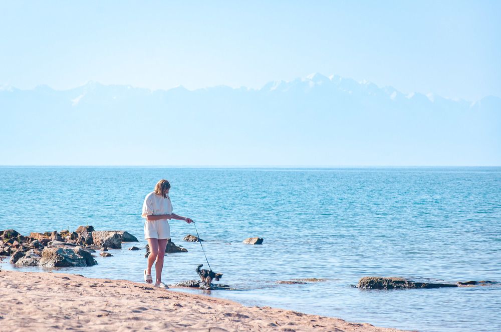 Фотография автора Сергей Рыженко