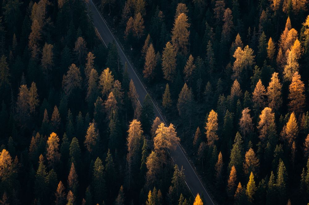 Photograph by Marco Toffaletti