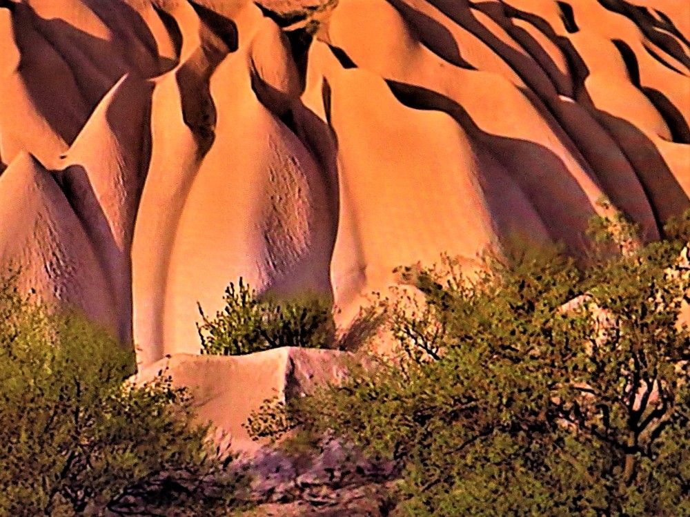 Photograph by Галина