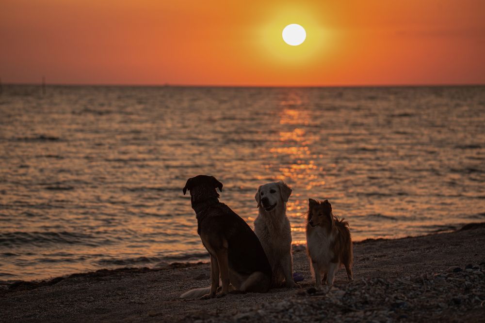 Photograph by наталья залогина