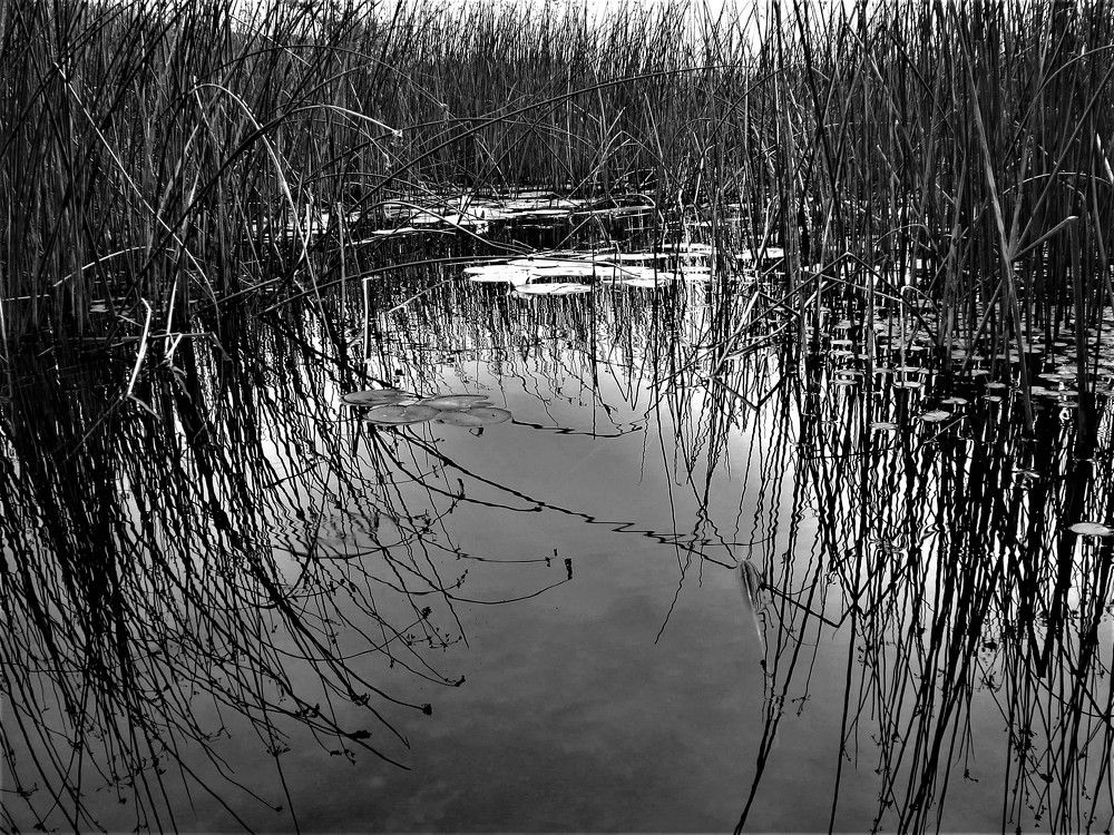 Photograph by Галина