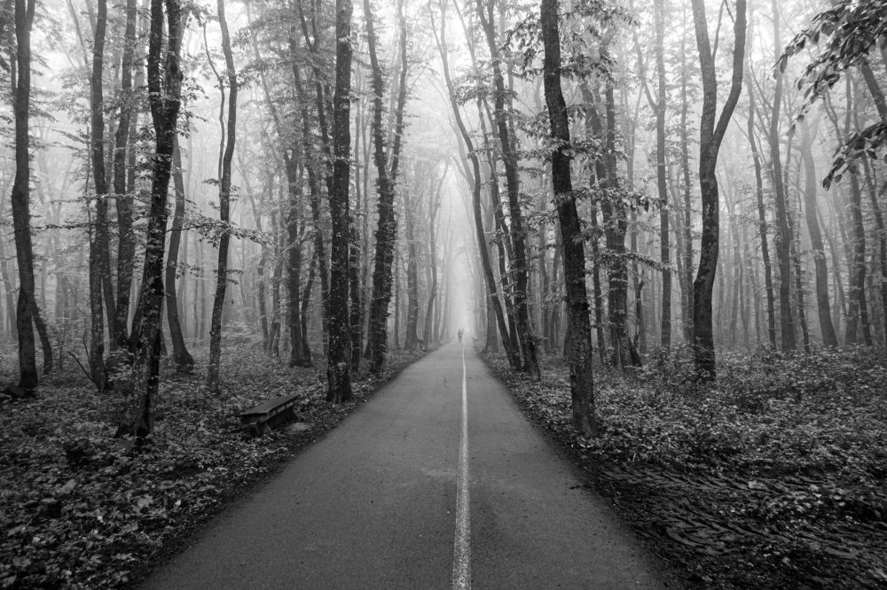 Photo #9565653