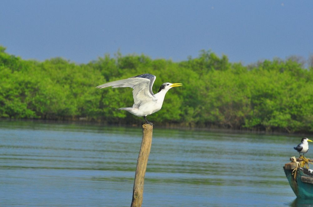 Photograph by B.KUSHA KUMAR Kumar