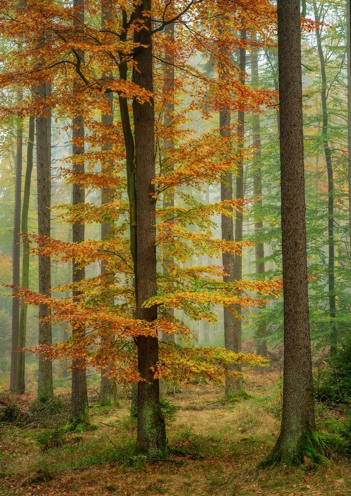 Photograph by Jens Ober