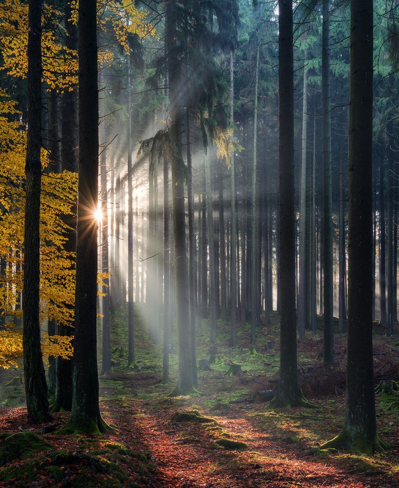 Photograph by Jens Ober