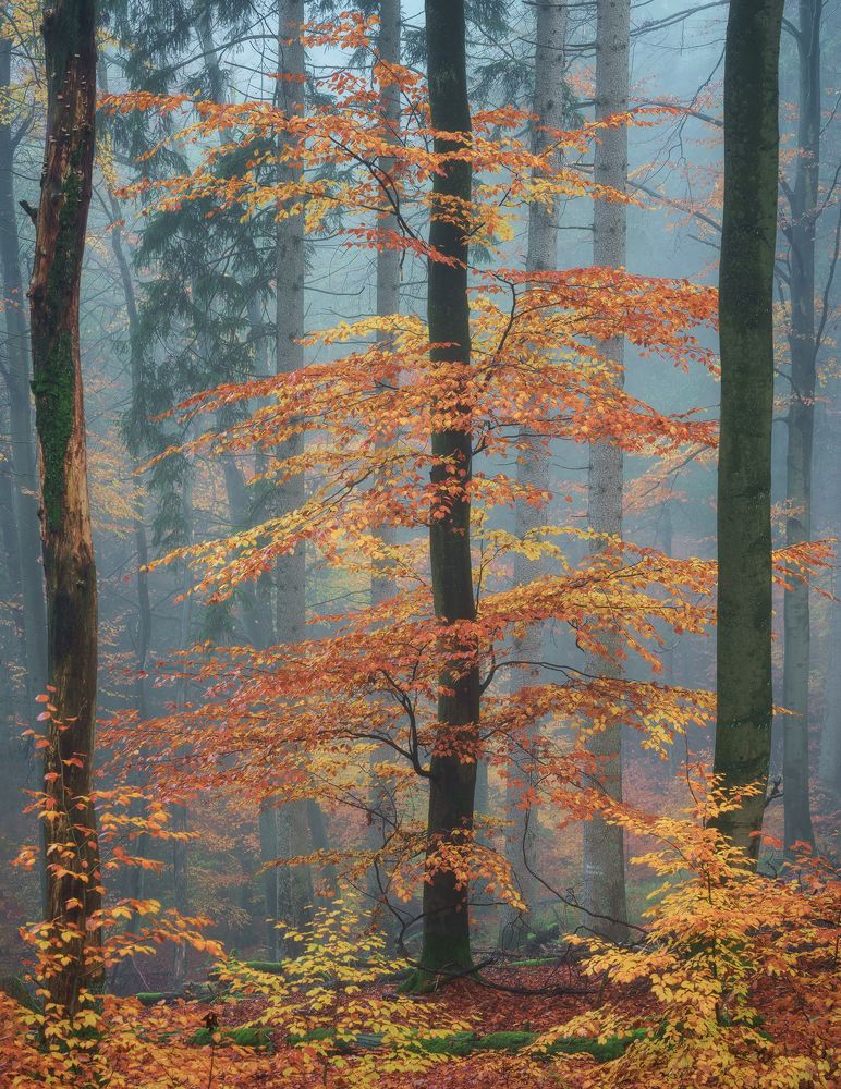 Photograph by Jens Ober