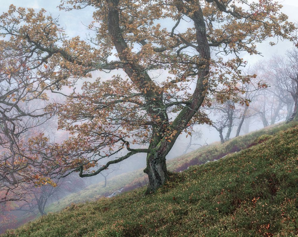 Photograph by Jens Ober