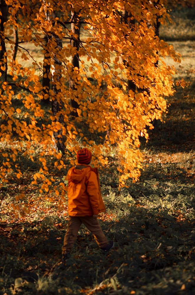 Photograph by Ольга Петрова